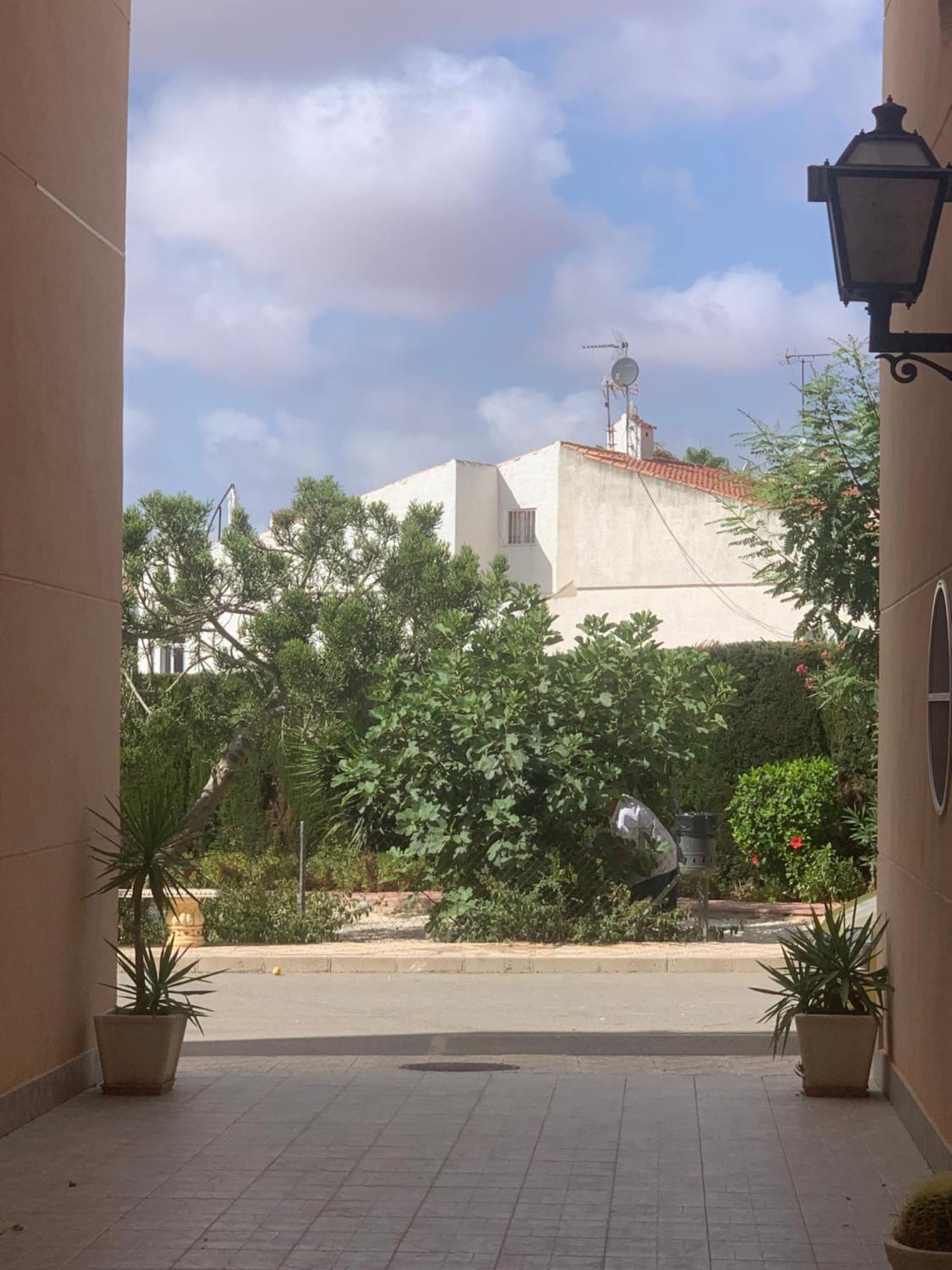 Tres Beau T4 Torrevieja Renove Et Moderne Apartment Екстериор снимка